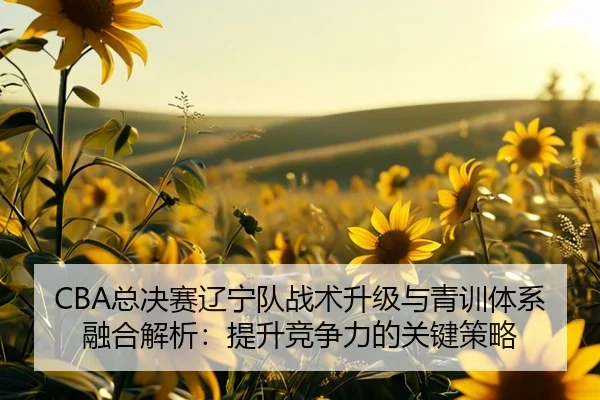 zong-jue-sai-liao-ning-dui-zhan-shu-sheng-ji-yu-qing-xun-ti-xi-rong-he-jie-xi-ti-sheng-jing-zheng-li-de-guan-jian-ce-lve-2-780.jpg